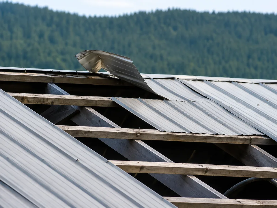 Metal roof panel peeled back by wind, exposing the timber rafters underneath